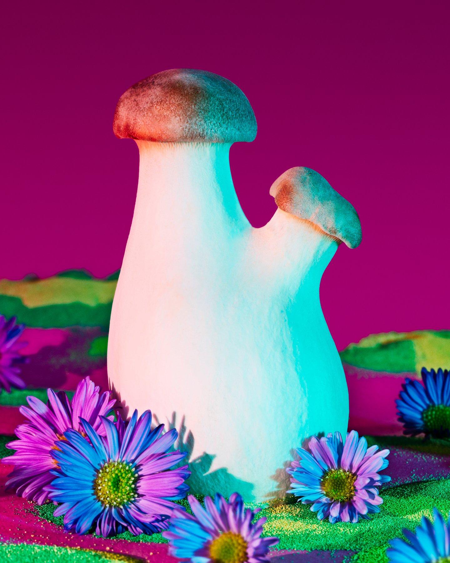 Explore the fascinating world of mushrooms and find out which species aligns with your personality and traits in this insightful quiz.