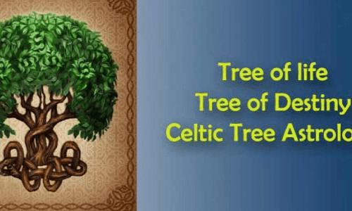 Discover your Celtic birth tree and learn what it reveals about your personality and destiny.