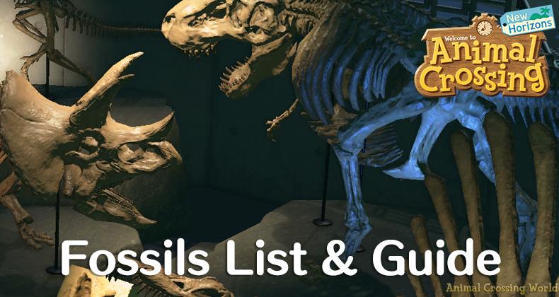 Think you're an expert at identifying Animal Crossing fossils? Test your knowledge and see how many of these fossils you can correctly identify out of 10!