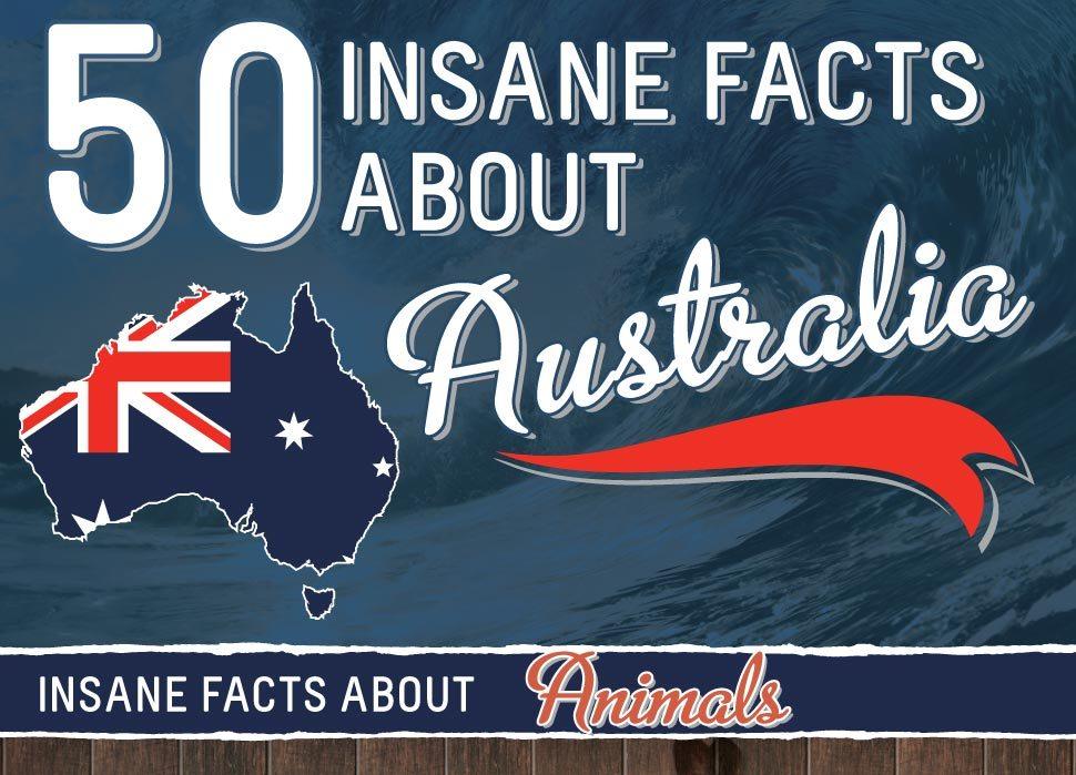 Do you think you know everything there is to know about Australia? Put your knowledge to the test with this thrilling Aussie Trivia quiz! Answer 10 questions and find out how much of an Aussie expert you are!