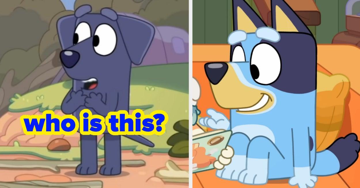 Ever wondered which Bluey character would be your best friend? Take this fun quiz to find out which of Bluey's lovable gang is your perfect match!