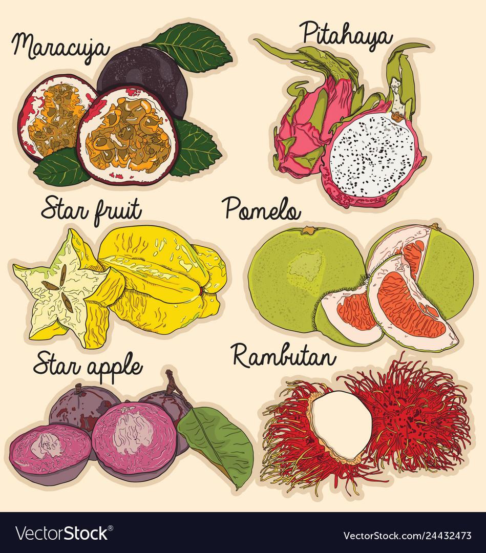 Ever wondered which exotic fruit best matches your unique personality? Dive into this fun quiz to find out if you're more like a Dragonfruit, a Mangosteen, or something even more exotic!