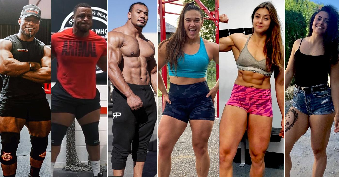 Take this quiz to discover which legendary powerlifter matches your training style and preferences! Whether you're a fan of deadlifts or bench presses, this quiz will reveal your powerlifting counterpart.