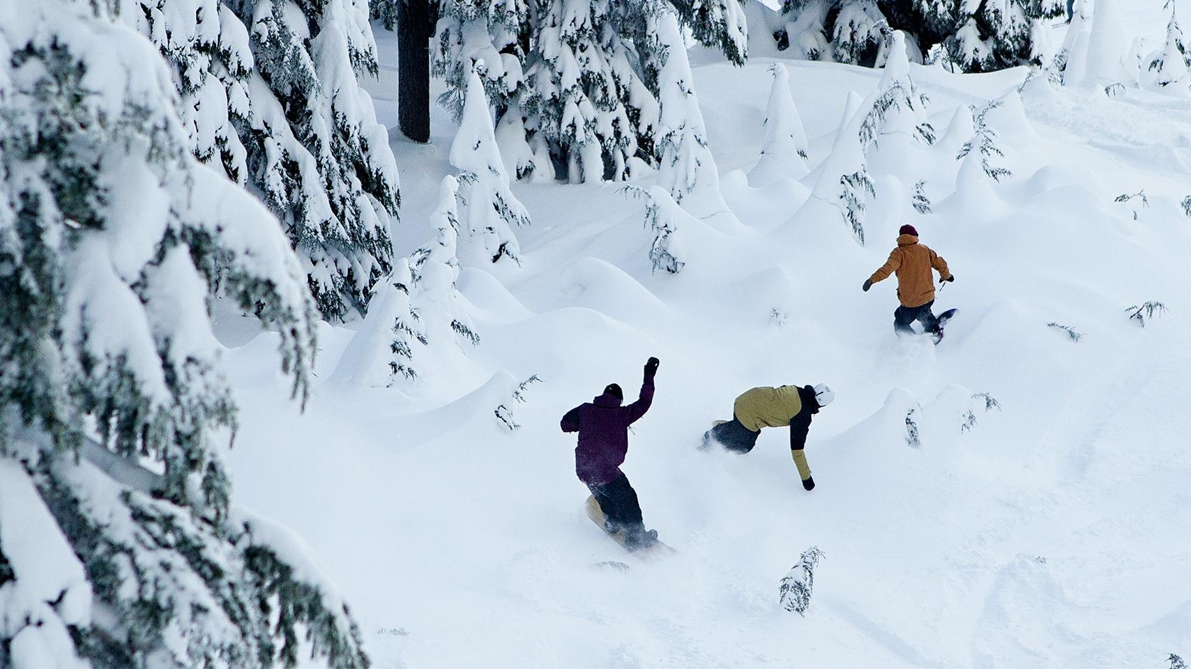 Discover your snowboarding persona! Whether you're a mountain explorer or a park rat, this quiz will uncover your riding style, preferred terrain, and experience level. Get tailored tips and insight into your unique snowboarding profile.