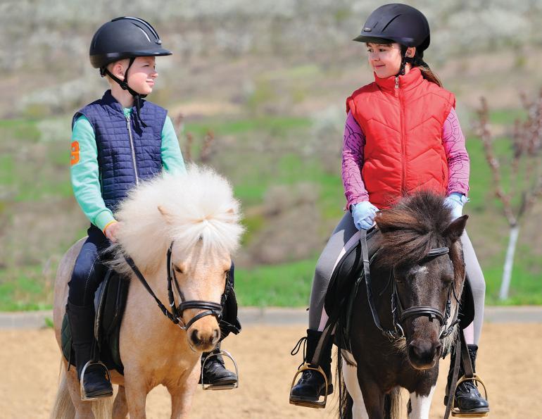 Test your knowledge on the fascinating world of equestrian sports. From famous competitions to renowned athletes and horse breeds, see how well you know the realm of horse riding and equine accomplishments.