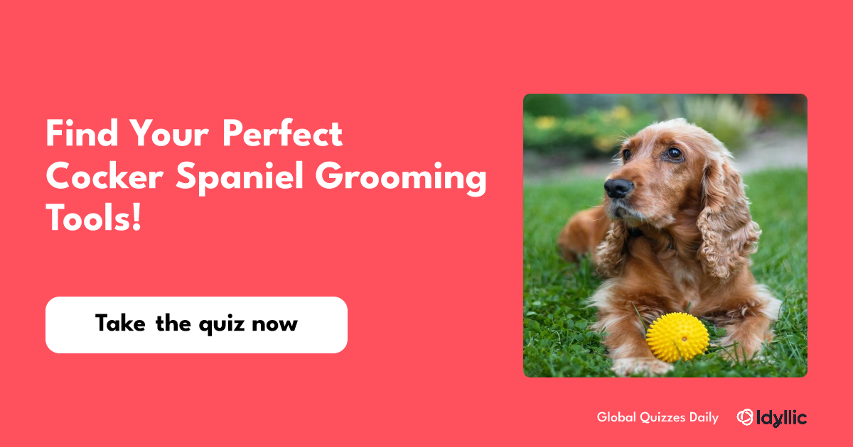 Spaniel grooming tools 2025