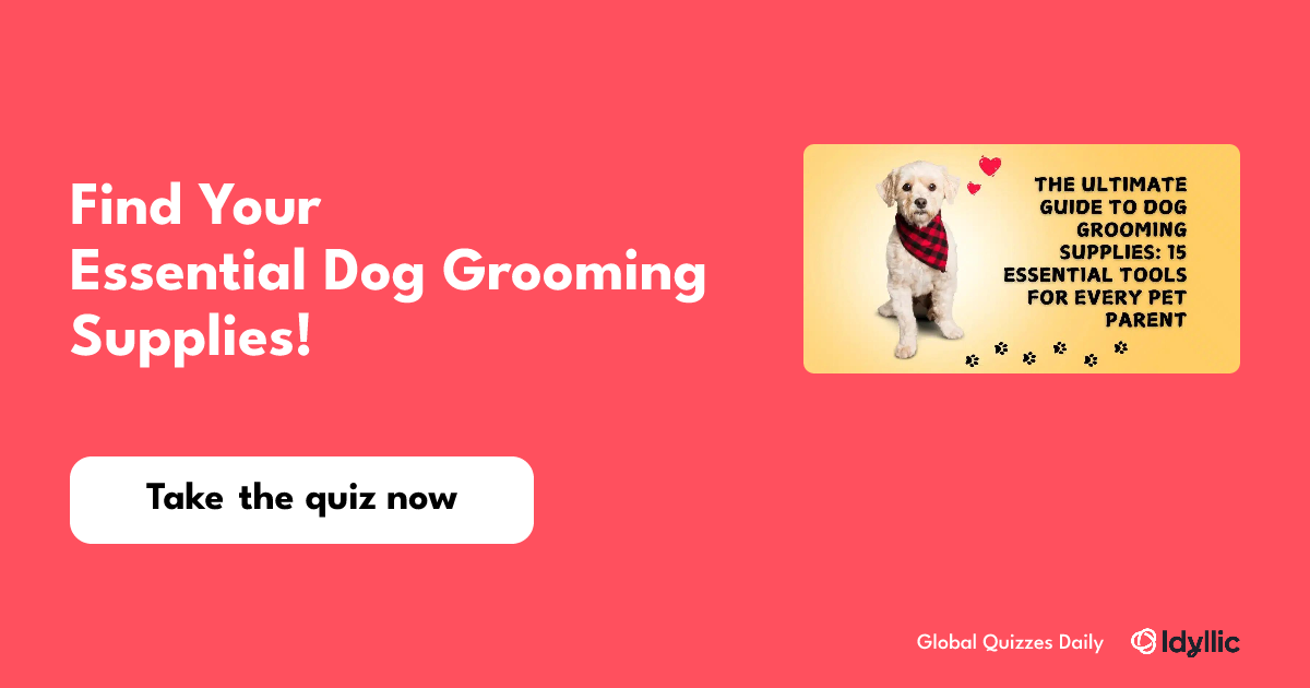 Find Your Essential Dog Grooming Supplies!