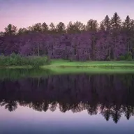 A serene landscape at sunset, lush trees casting long shadows, and a still lake reflecting the purple hues of the evening sky.