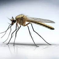 A hyper-realistic image of a mosquito