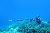 Find Your Perfect Speargun for 2025