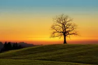 Unlock the Secrets to Capturing Stunning Sunsets!