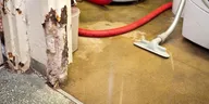 Which Dehumidifier is Best for Your Water Damage Needs?