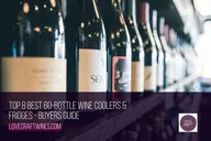 Find Your Perfect 60-Bottle Wine Cooler!