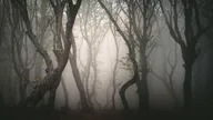 Discover Your Perfect Haunted Getaway